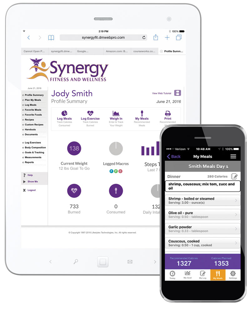 synergy software initial release date
